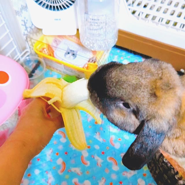 mariaさんの部屋