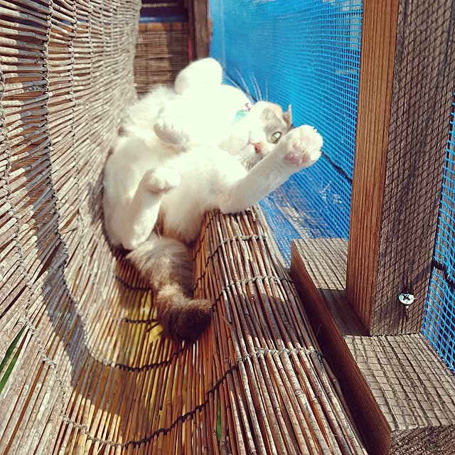 fukuさんの実例写真