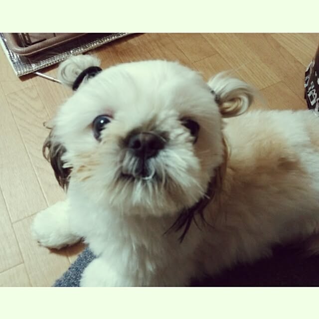 Reiさんの実例写真