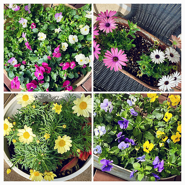 2.11maririnさんの部屋