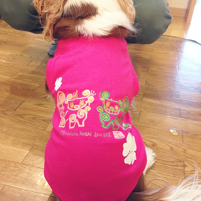mamahiroさんの実例写真