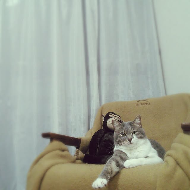 lovepandaさんの実例写真