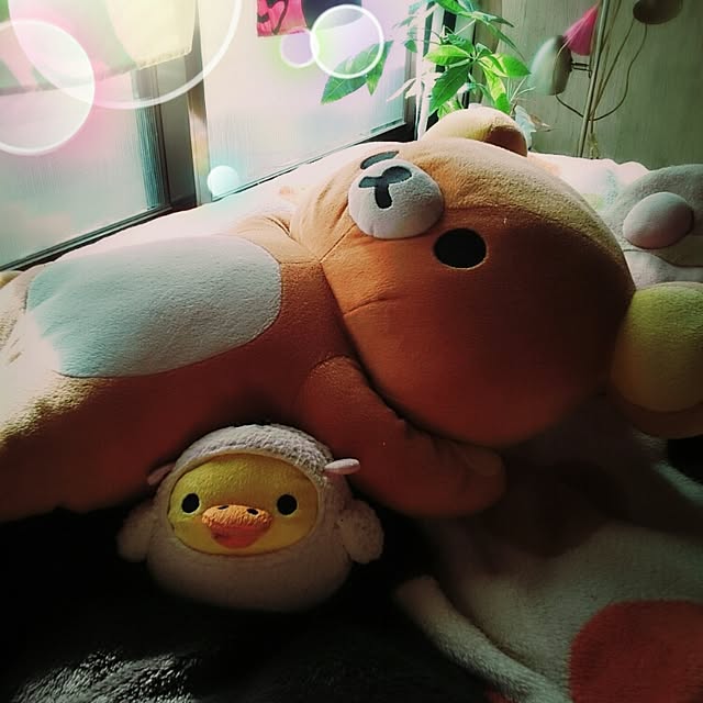 yutorogiさんの実例写真