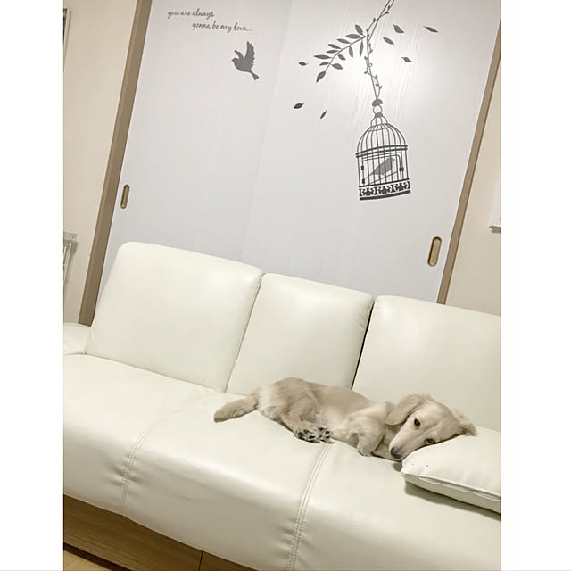 tmさんの実例写真
