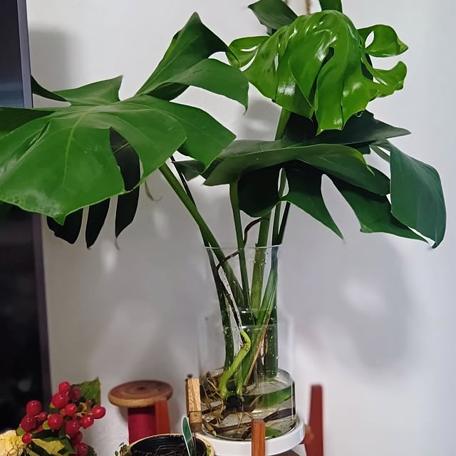 tomomiさんの実例写真