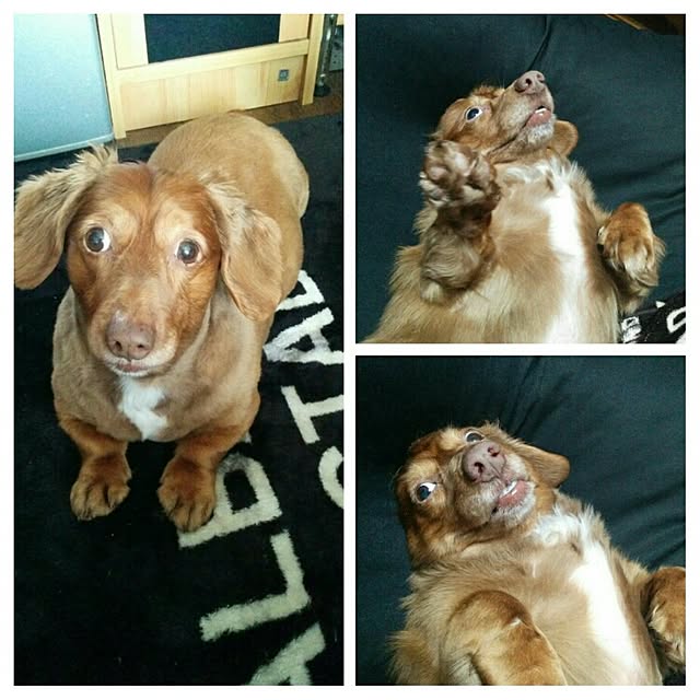 satoさんの実例写真