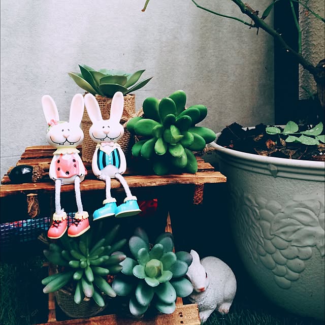 midoriさんの実例写真