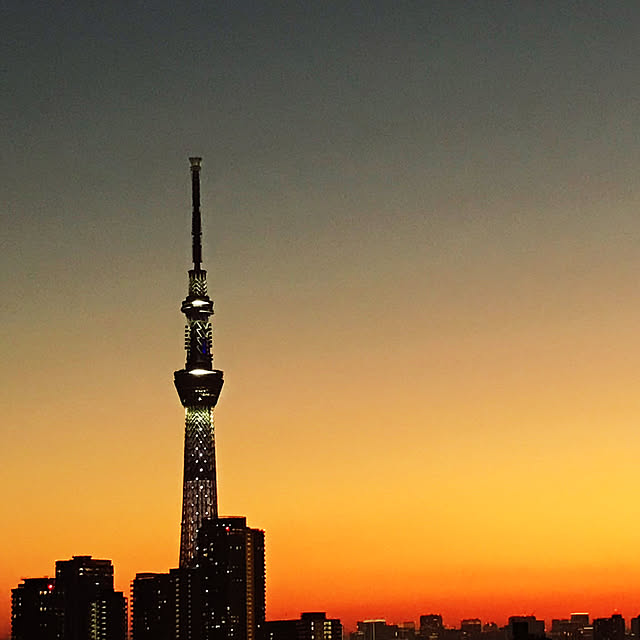 実例写真