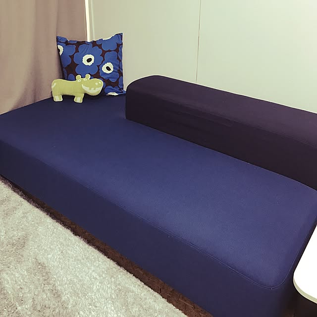 Rikaさんの実例写真