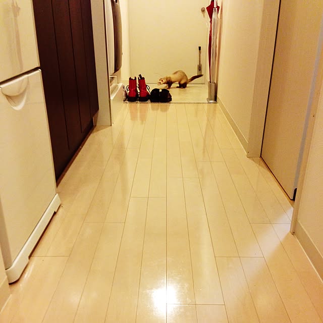 kuri-de-chuさんの実例写真