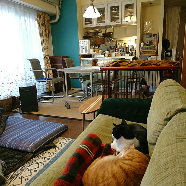 okyosan101さんの実例写真