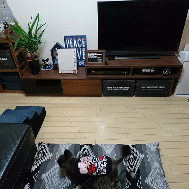 lovepeaceさんの実例写真