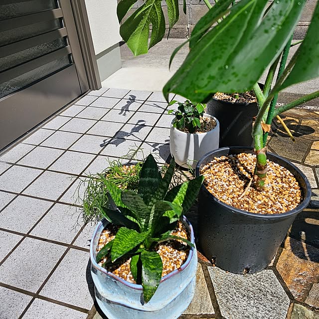 makoさんの部屋