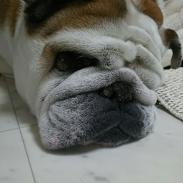 AandPさんの実例写真