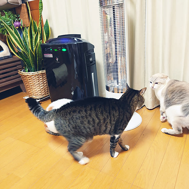 nachiさんの実例写真