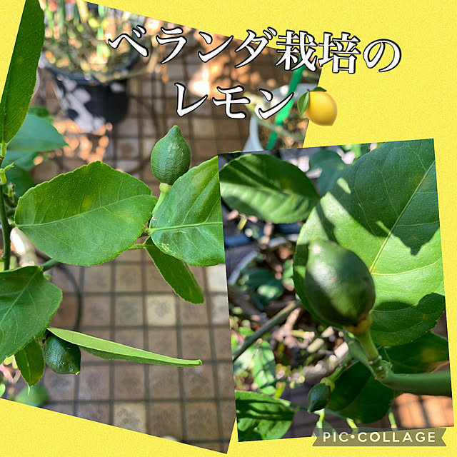 Aqettyさんの部屋