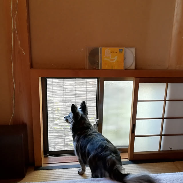 Junkoさんの実例写真