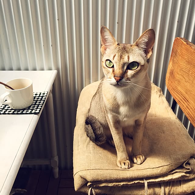 jaajjiさんの実例写真