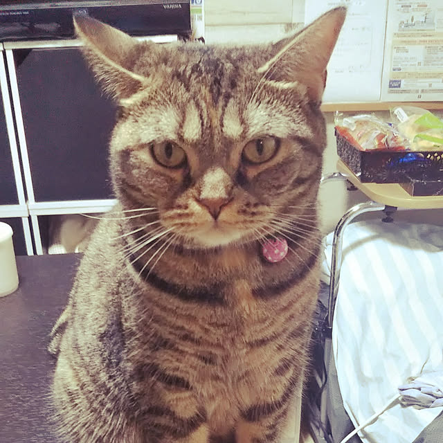 runaさんの実例写真