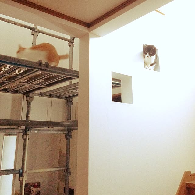 Kinanさんの実例写真