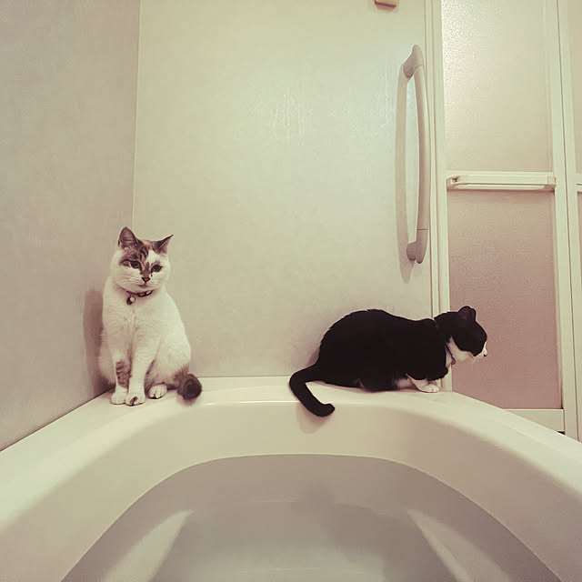 POMERUNさんの実例写真