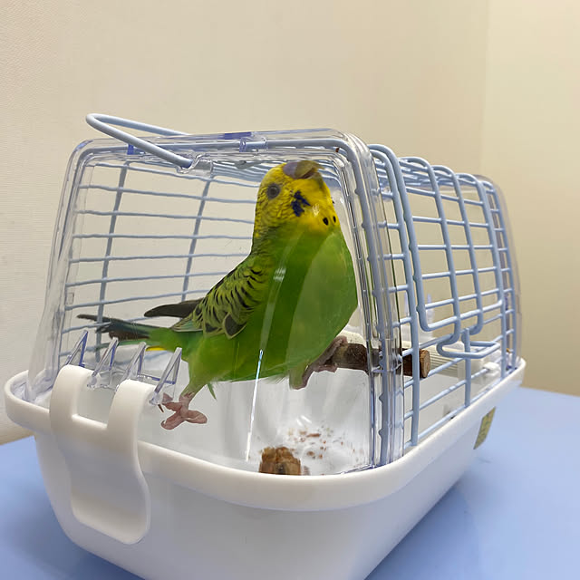 ohanaさんの部屋