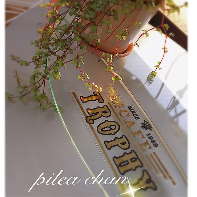mocoさんの実例写真