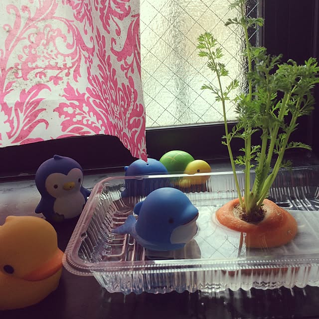 viviochanさんの実例写真