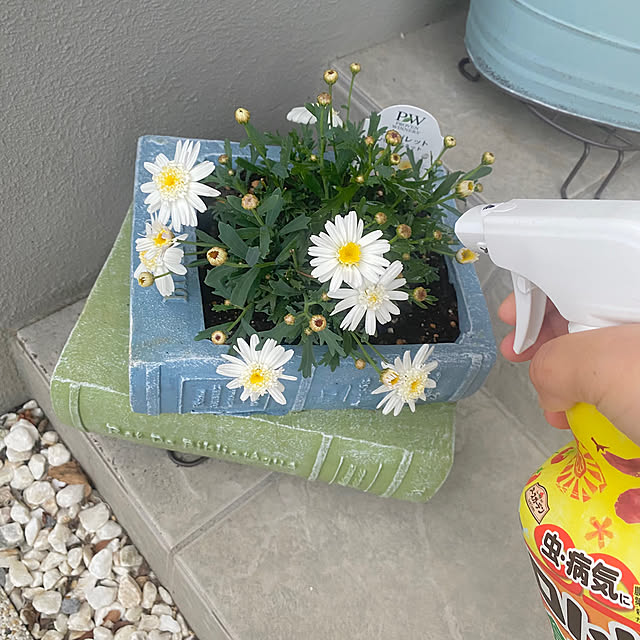 smileさんの実例写真