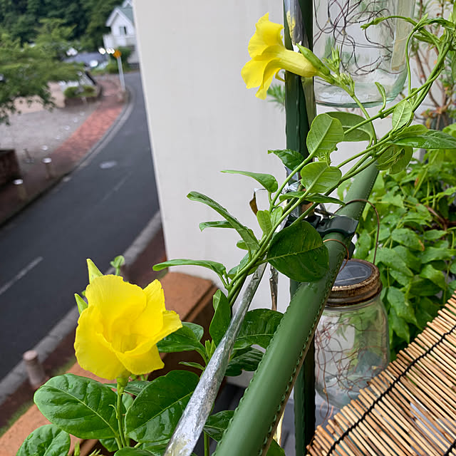 Aqettyさんの部屋
