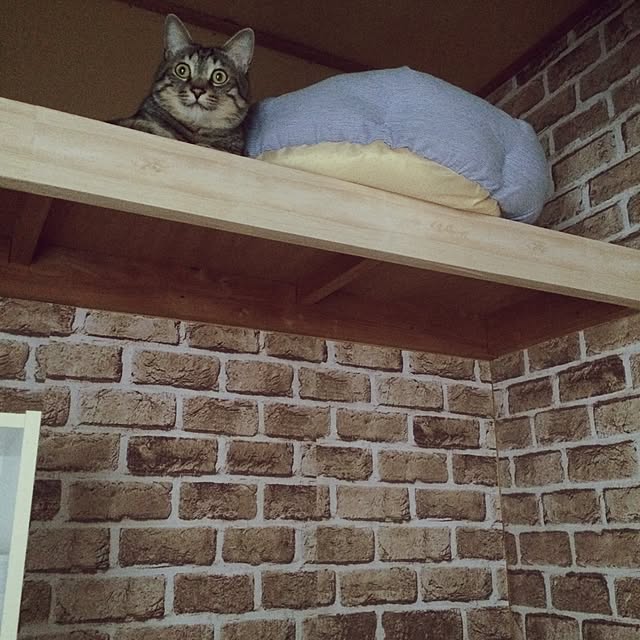 Esunoさんの実例写真