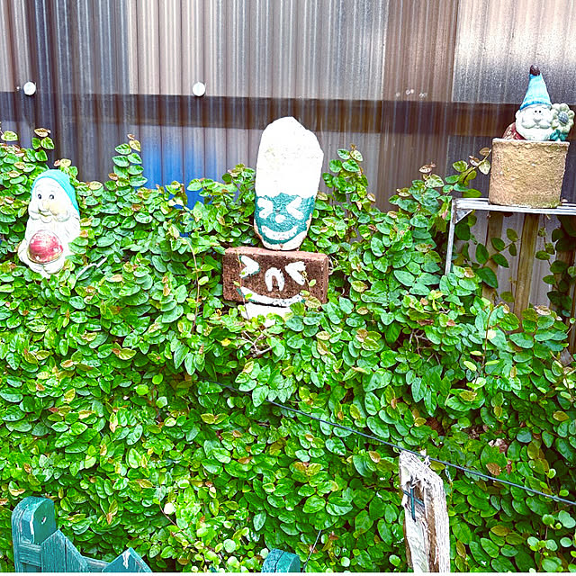 takakoさんの部屋