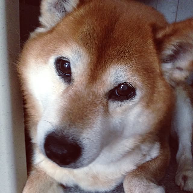 Hanaさんの実例写真