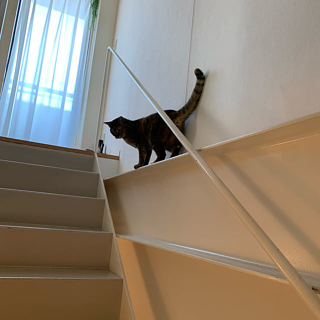 kukuさんの実例写真