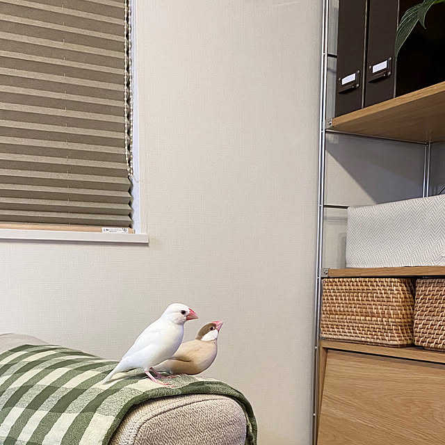 hananokaoriさんの実例写真