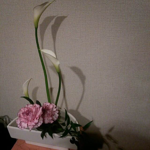 acaさんの実例写真