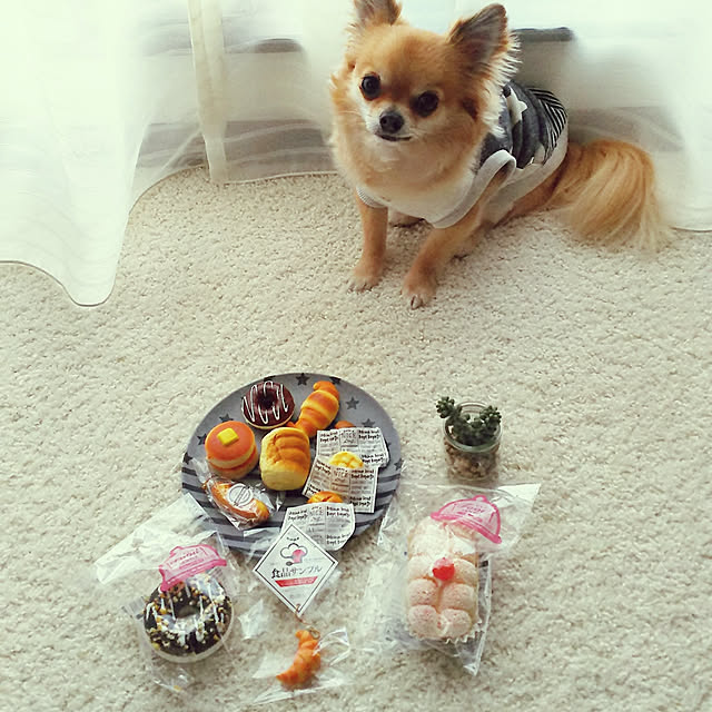 kojikojiさんの実例写真