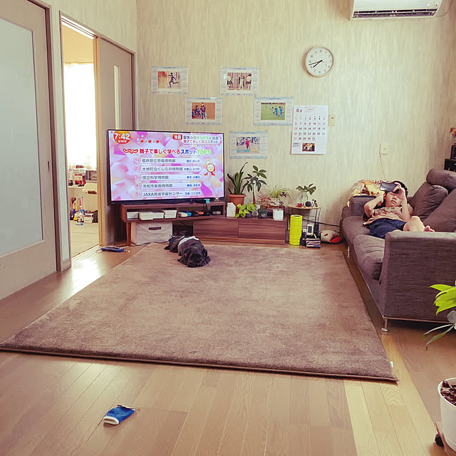 shunasoraさんの実例写真