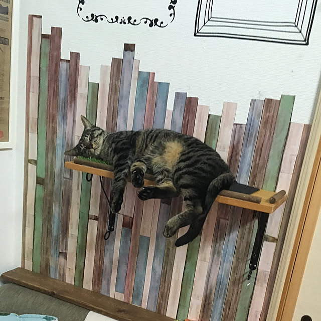goさんの実例写真