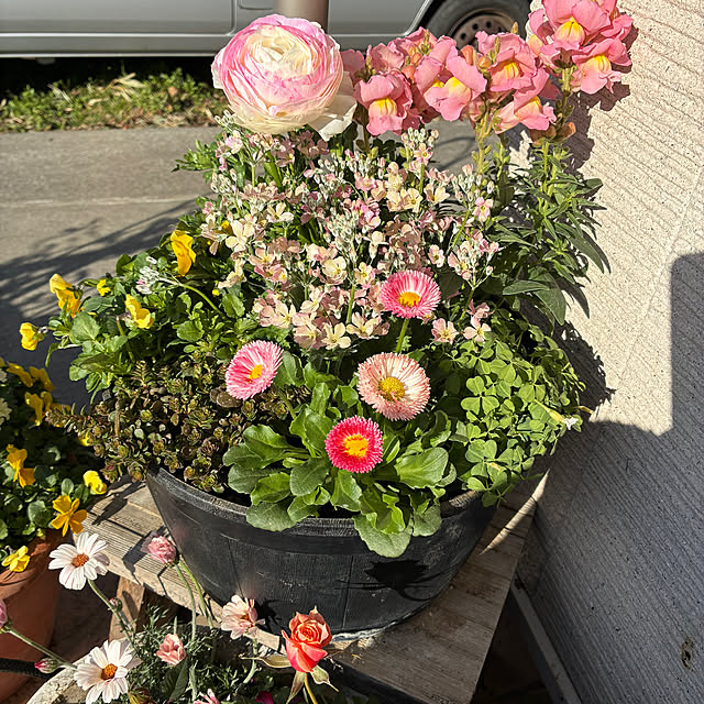 leepo5さんの実例写真