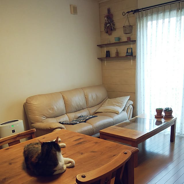 tomo1220さんの実例写真