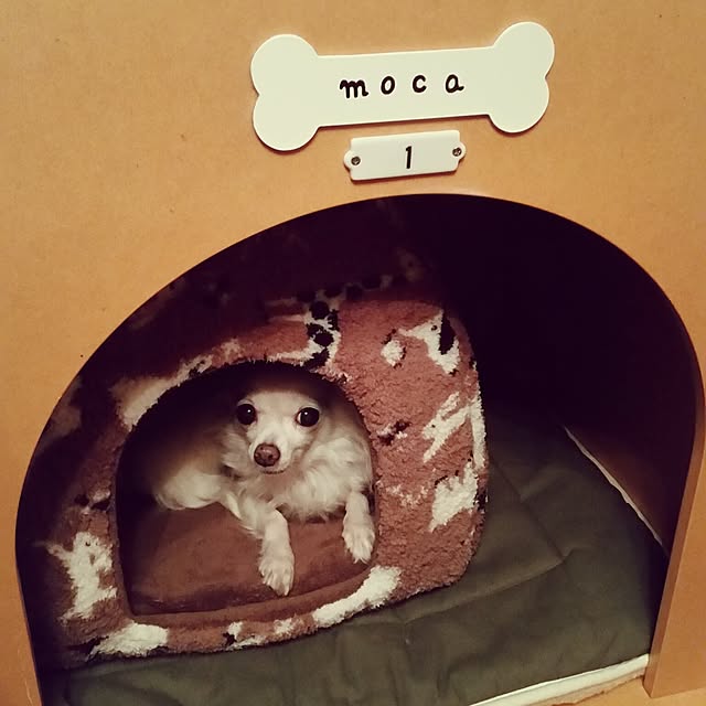mananaさんの実例写真
