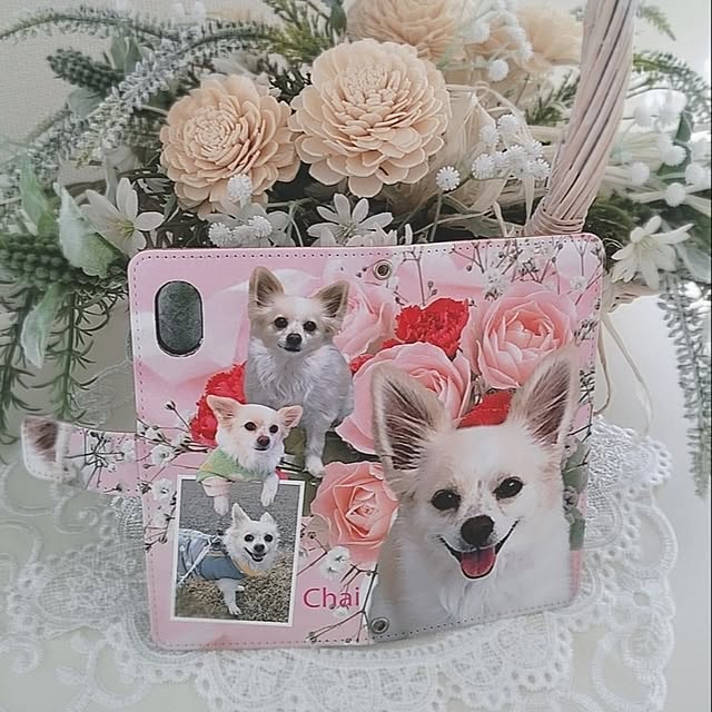 PAOさんの部屋
