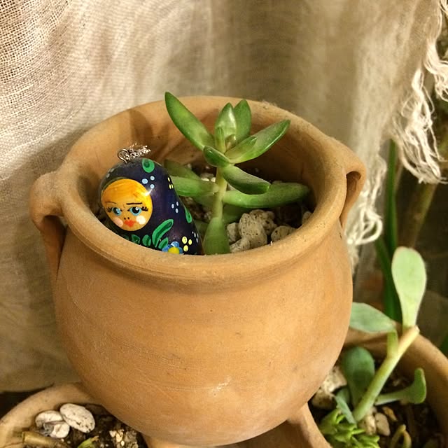 ayaco_cucirinaさんの実例写真