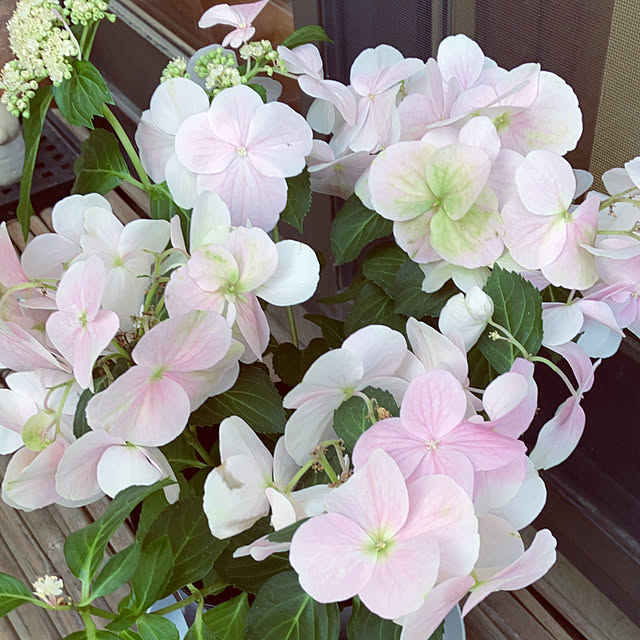 mary_loveさんの部屋