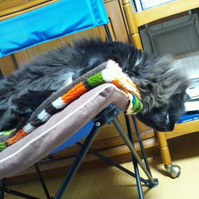 coroさんの実例写真