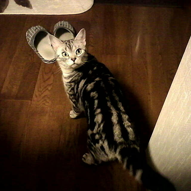 kumingさんの実例写真