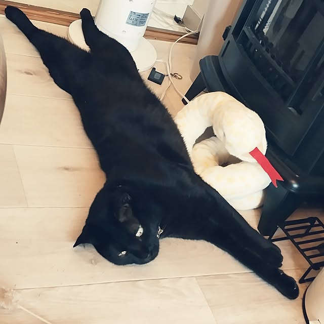 Tさんの実例写真