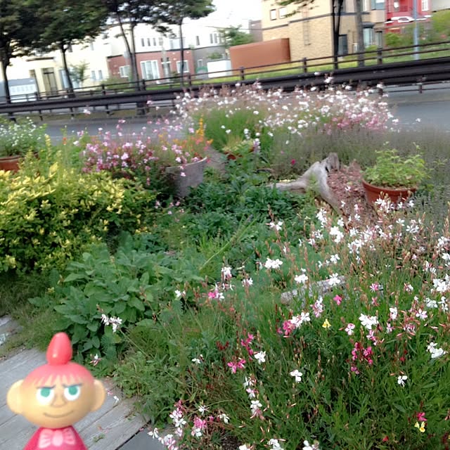 okeiさんの実例写真