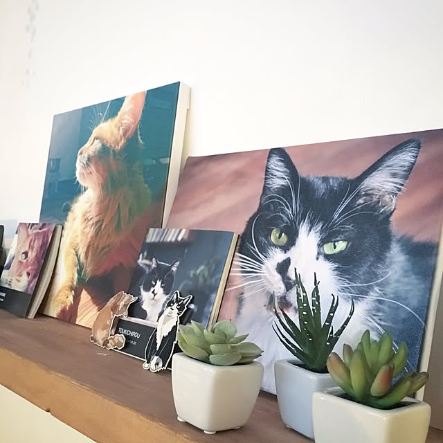 katsuwobushiさんの実例写真
